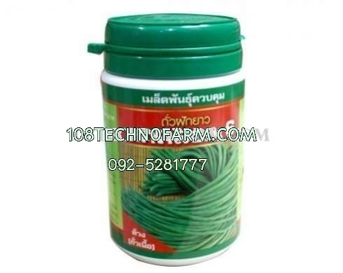 ถั่วฝักยาวดกคลอง 6 (ถั่วเนื้อ) 100g /500g